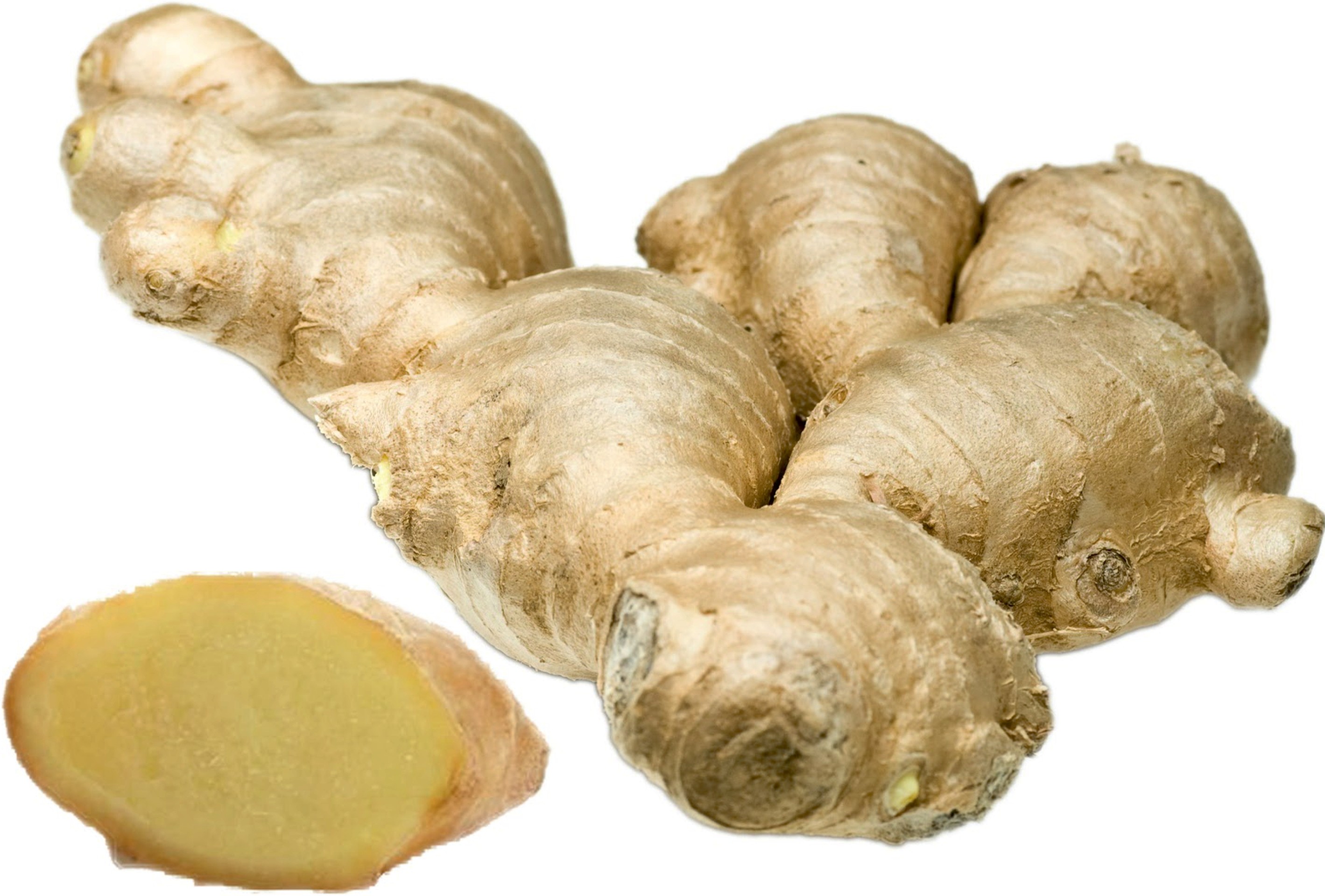 Zencefil